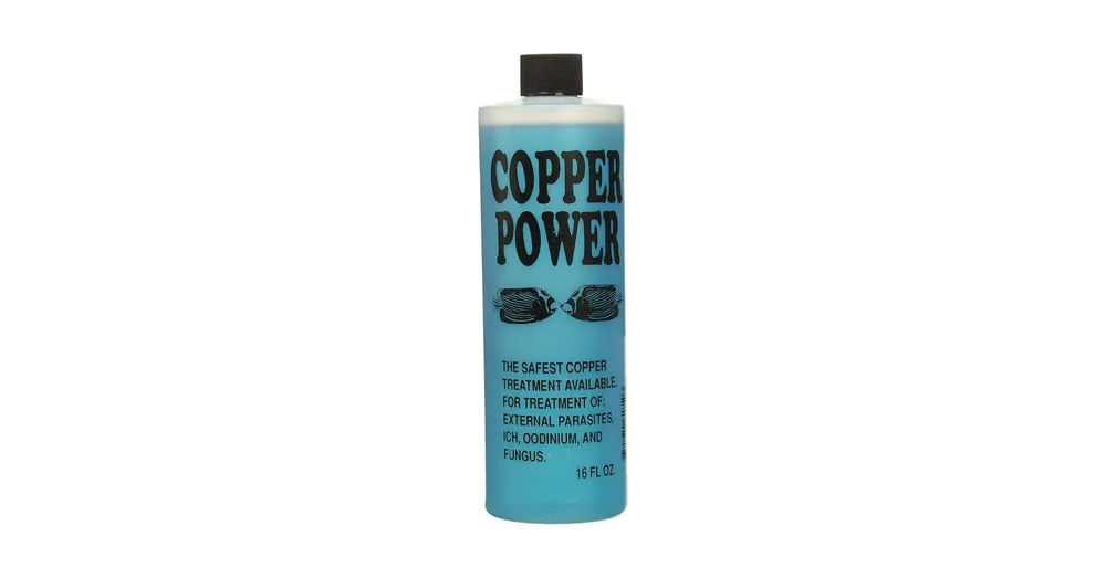 Copper Powder Blue 4 oz - SUPPLIES