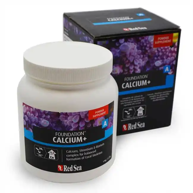 Foundation A Calicum+ 1 kg - SUPPLIES
