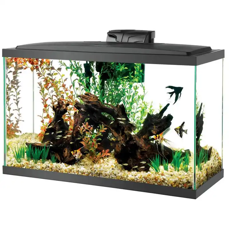 29 Gallon Aquarium Starter Kit - AQUARIUMS