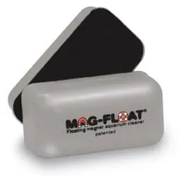 Mag-Float Magnet – Glass Mini