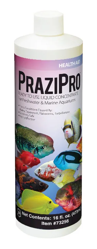Prazipro 16 oz - SUPPLIES