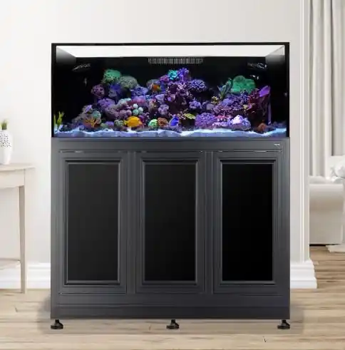 EXT 100 w/ Stand Black - AQUARIUMS