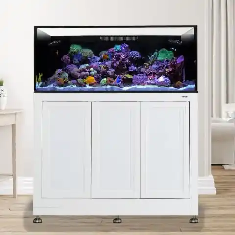 EXT 100 w/ Stand White - AQUARIUMS
