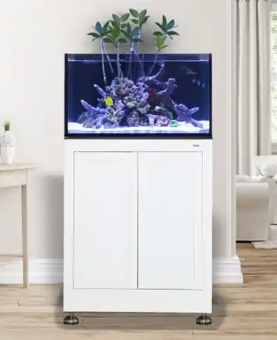 EXT 50 Lagoon w/ Stand White - AQUARIUMS