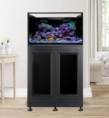 EXT 75 w/ Stand Black - AQUARIUMS