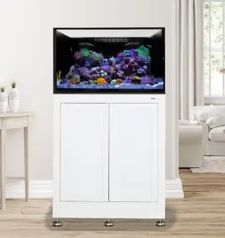 EXT 75 w/ Stand White - AQUARIUMS