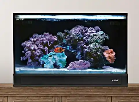 Fusion Pro 2 20 AIO Aquarium w/ Pedestal Black - AQUARIUMS