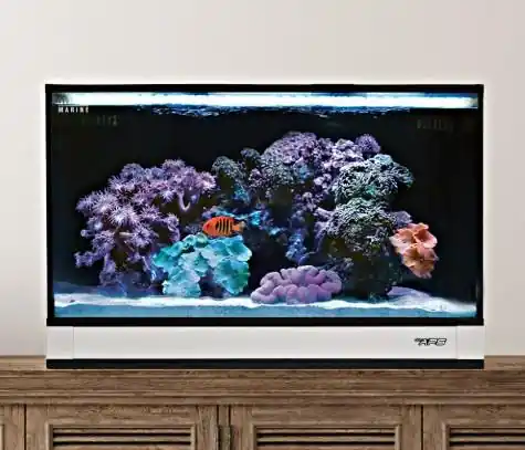 Fusion Pro 2 20 AIO Aquarium w/ Pedestal White - AQUARIUMS