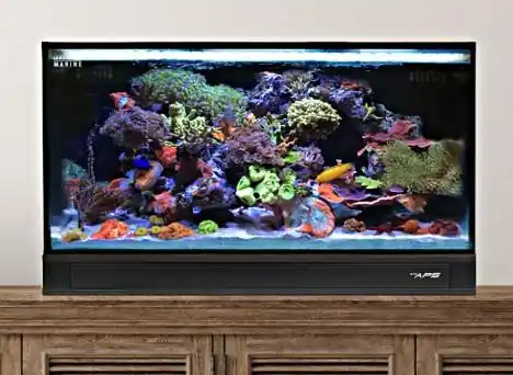 Fusion 25 AIO Lagoon Aquarium w/ Pedestal Black - AQUARIUMS