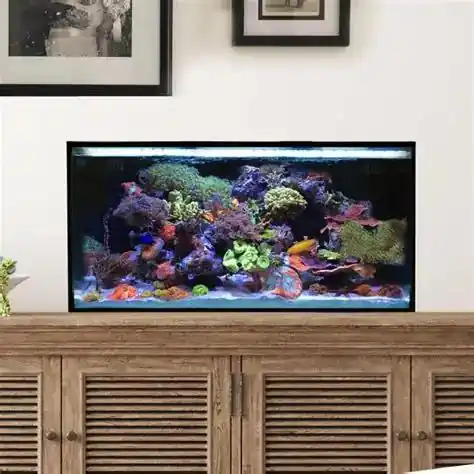Fusion 25 AIO Lagoon Aquarium Desktop Starter Kit - AQUARIUMS