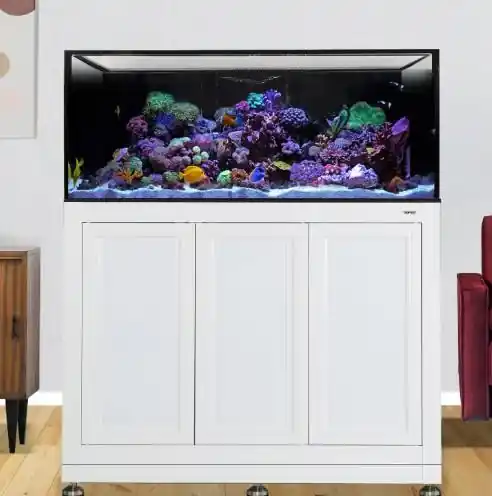 INT 100 w/ Stand White - AQUARIUMS