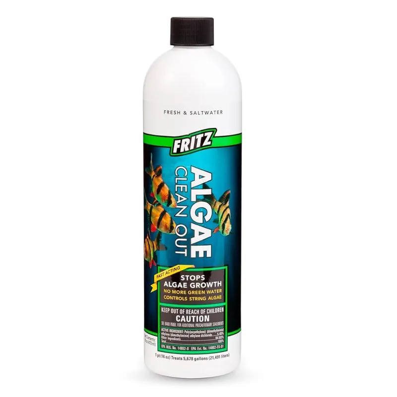 Algae Clean Out 8 oz - SUPPLIES