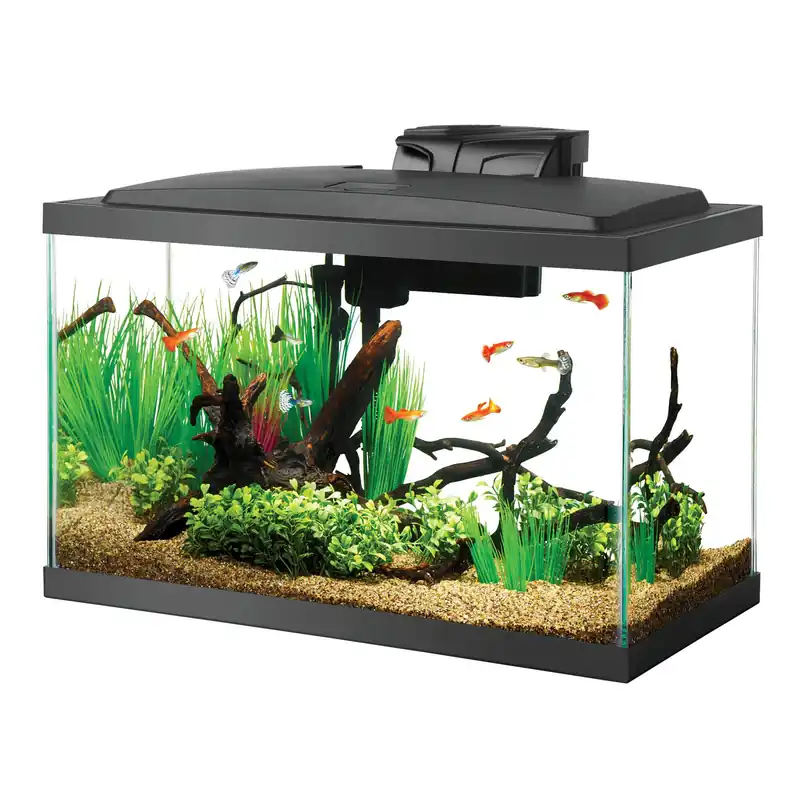 10 Gallon Aquarium Starter Kit - AQUARIUMS