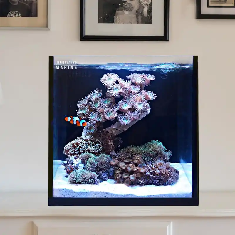 Fusion 15 AIO Cube Aquarium - AQUARIUMS