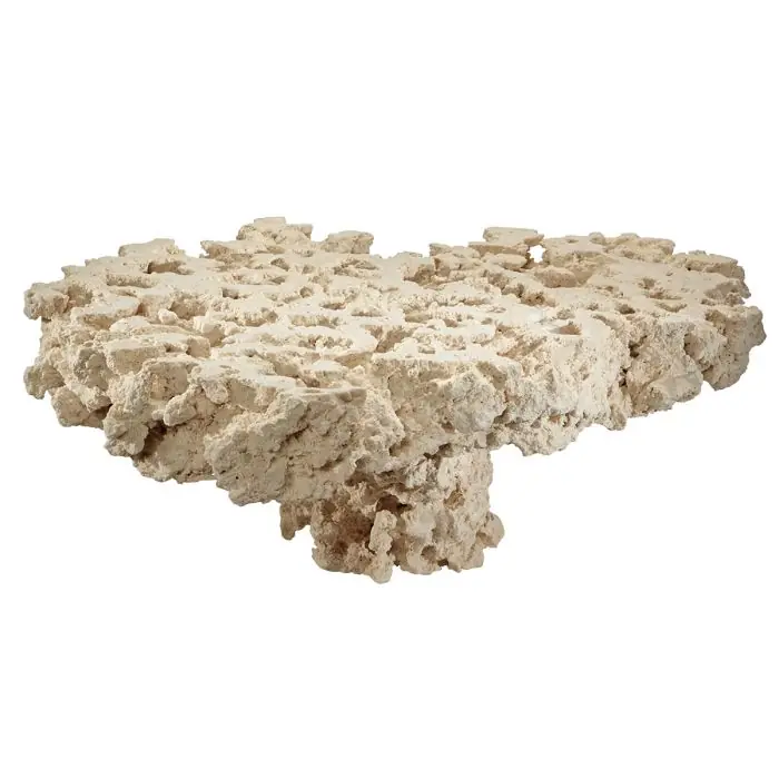 Reef Saver Pedestal Aquarium Dry Live Rock – Frag Top – MarcoRocks - Aquariums and Aquascaping