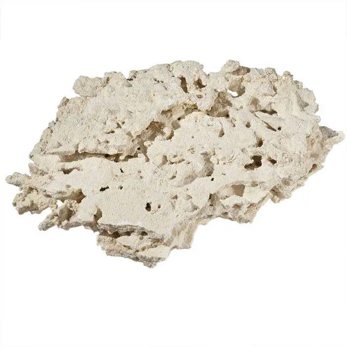 Reef Saver Shelf Aquarium Dry Live Rock – MarcoRocks - Aquariums and Aquascaping