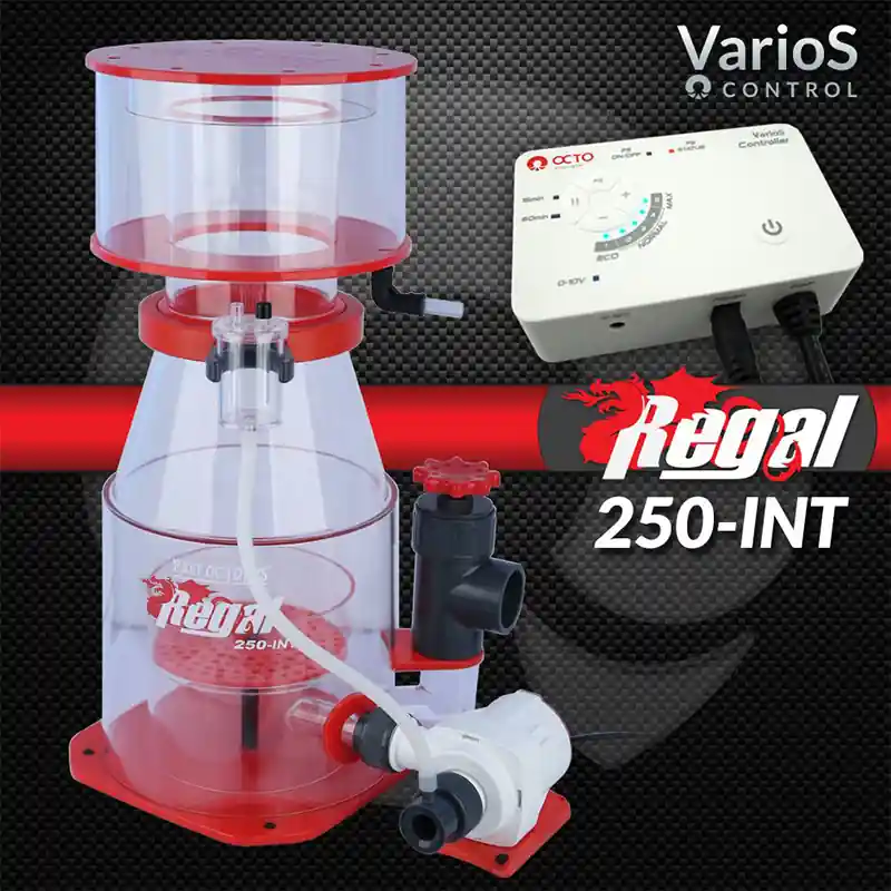 Regal 250INT Protein Skimmer - Aquarium Protein Skimmer
