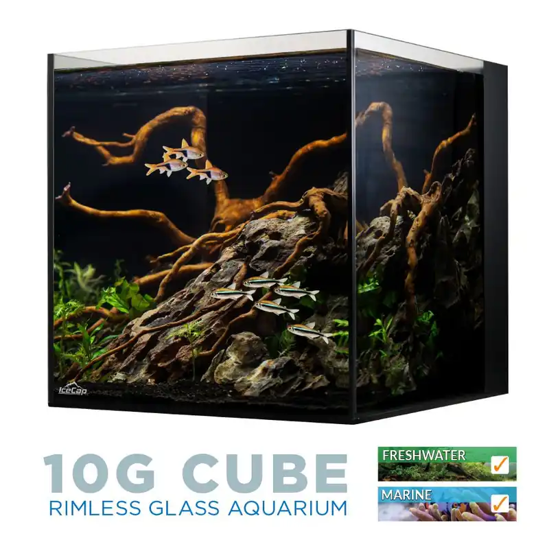IceCap 20 Gallon Cube AIO Rimless Glass Aquarium – IC-AIO20G