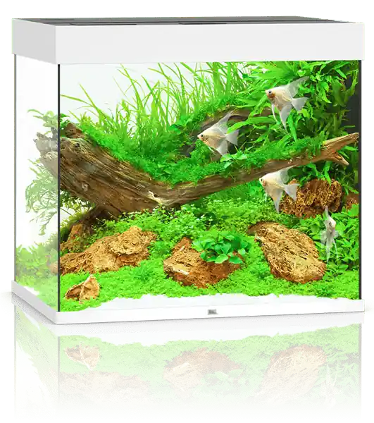 Juwel Lido 200 LED Aquarium System – White - Freshwater