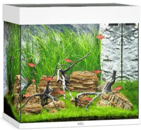 Juwel Lido 120 LED Aquarium System – White - Freshwater