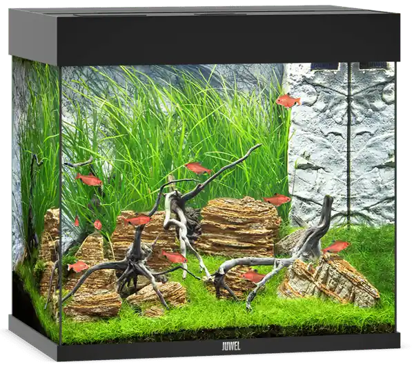 Juwel Lido 120 LED Aquarium System – Black - Freshwater