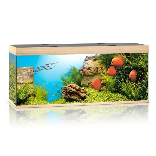 Juwel Rio 450 LED Aquarium System – Light Wood - Freshwater
