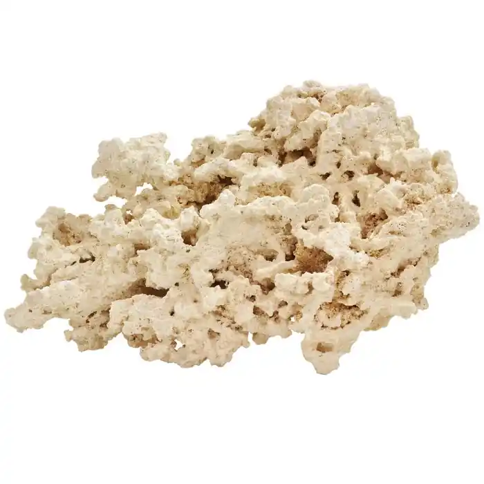 Reef Saver Aquarium Dry Live Rock – MarcoRocks - Aquariums and Aquascaping