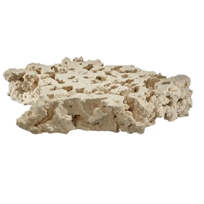 Small Foundation Reef Saver Dry Live Rock – MarcoRocks - Aquariums and Aquascaping