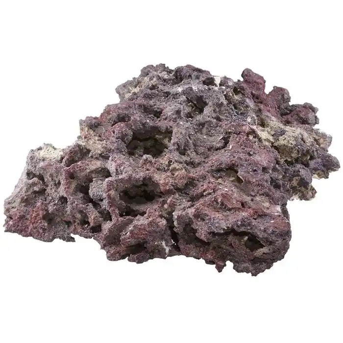 Shelf LifeRock Dry Live Rock – Caribsea – 40 lb - Aquariums and Aquascaping