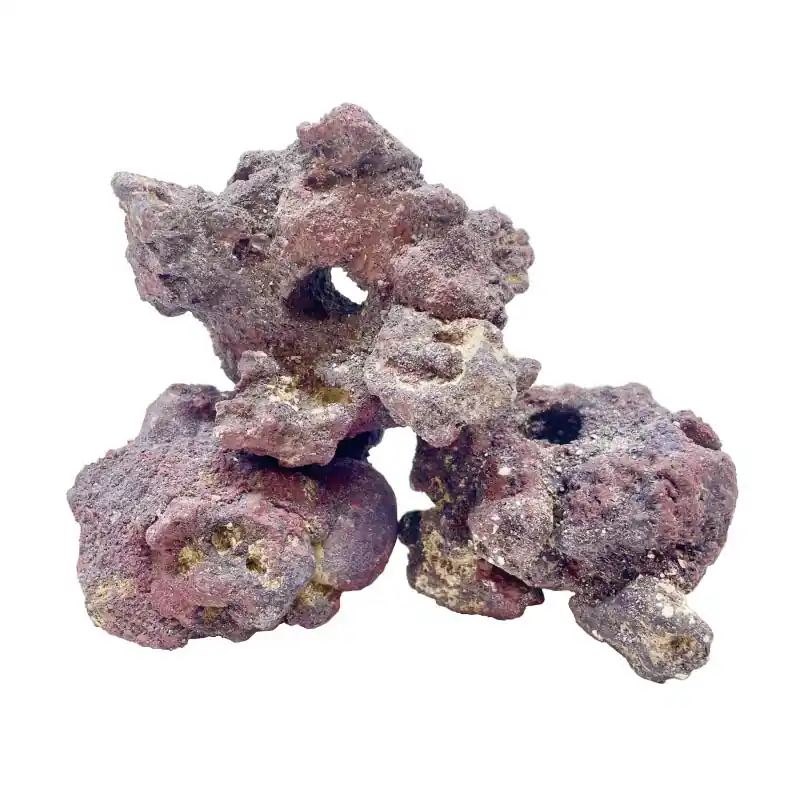 CaribSea LifeRock Fraggerz - Aquariums and Aquascaping