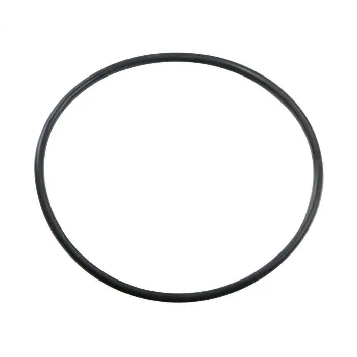 Replacement Big Blue Canister O-Ring – Bulk Reef Supply