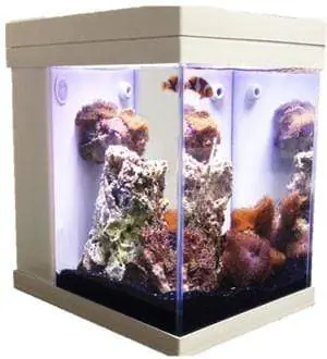 JBJ 3 Gallon Cubey in White – MT-208DX-W (TANK ONLY)