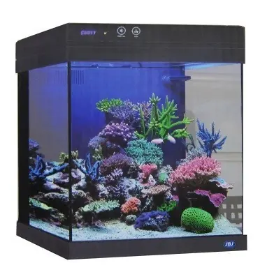 JBJ 10 Gallon Cubey in Black – CN-10-B (TANK ONLY)