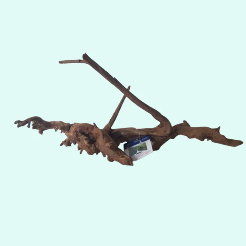 Pacific Wood For Aquascaping - CantonAquatics