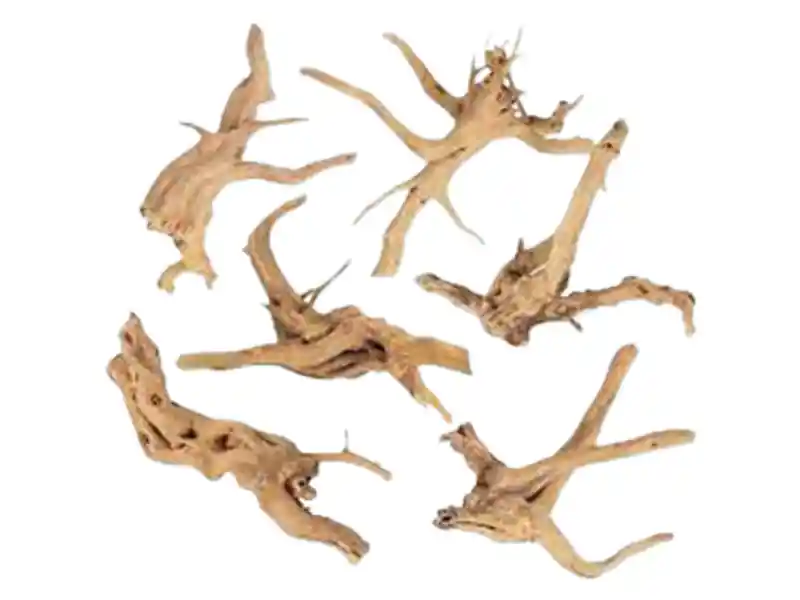 Aquarium Hardscape DriftWood: SpiderWood - Canton Aquatics