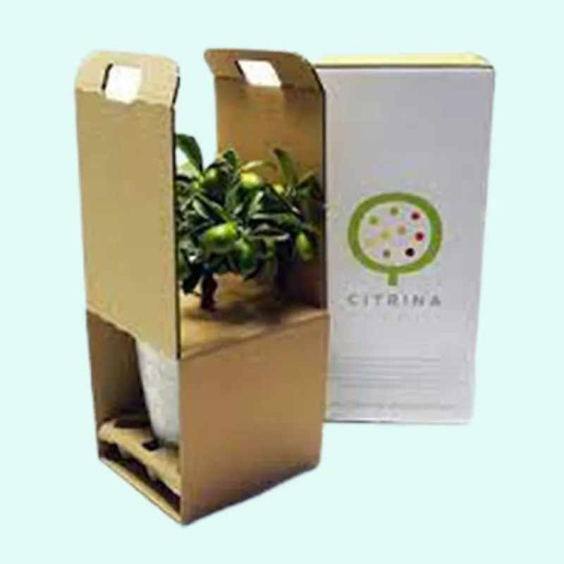 Special Packing For Live Plants - Canton Aquatics