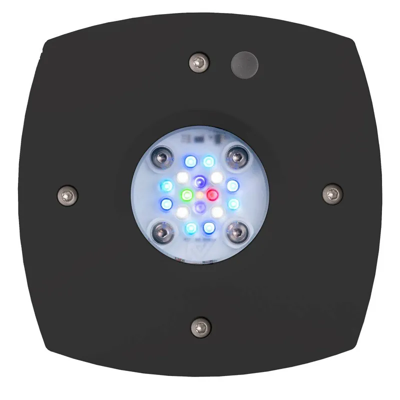 Prime 16 HD LED Reef Light - Black Body