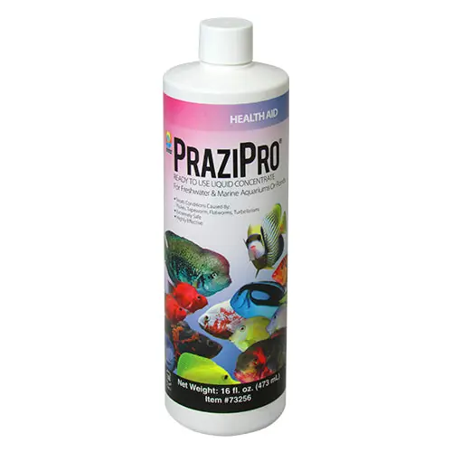 Prazi Pro - 16 oz.