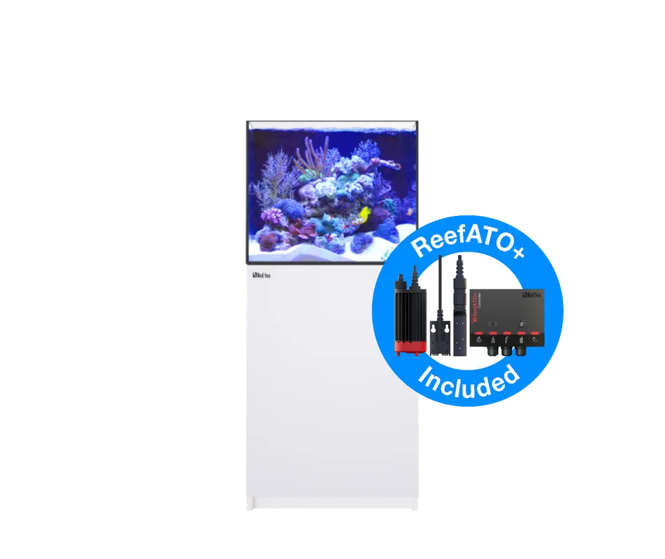 REEFER 200 G3 (42 Gallon) - Red Sea
