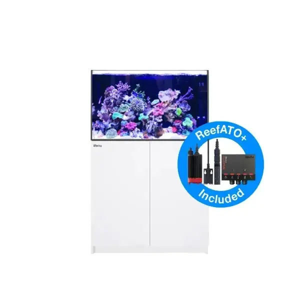 REEFER 300 G2+ (65 Gallon) - Red Sea