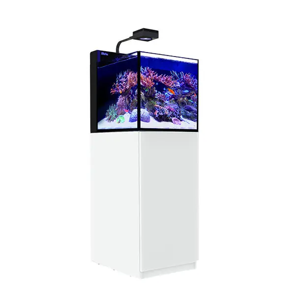 MAX NANO Peninsula G2 - Red Sea