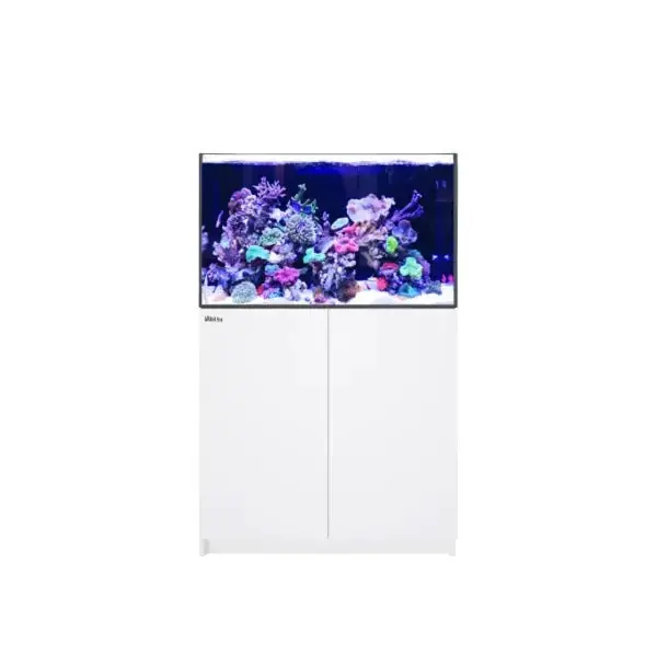 REEFER 300 G3 (65 Gallon) - Red Sea