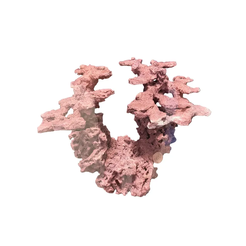 Mini Dragon - Reefscape Designs