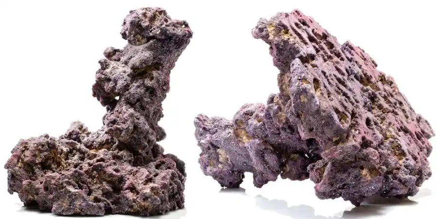 LifeRock Shroom 2 Pack - CaribSea