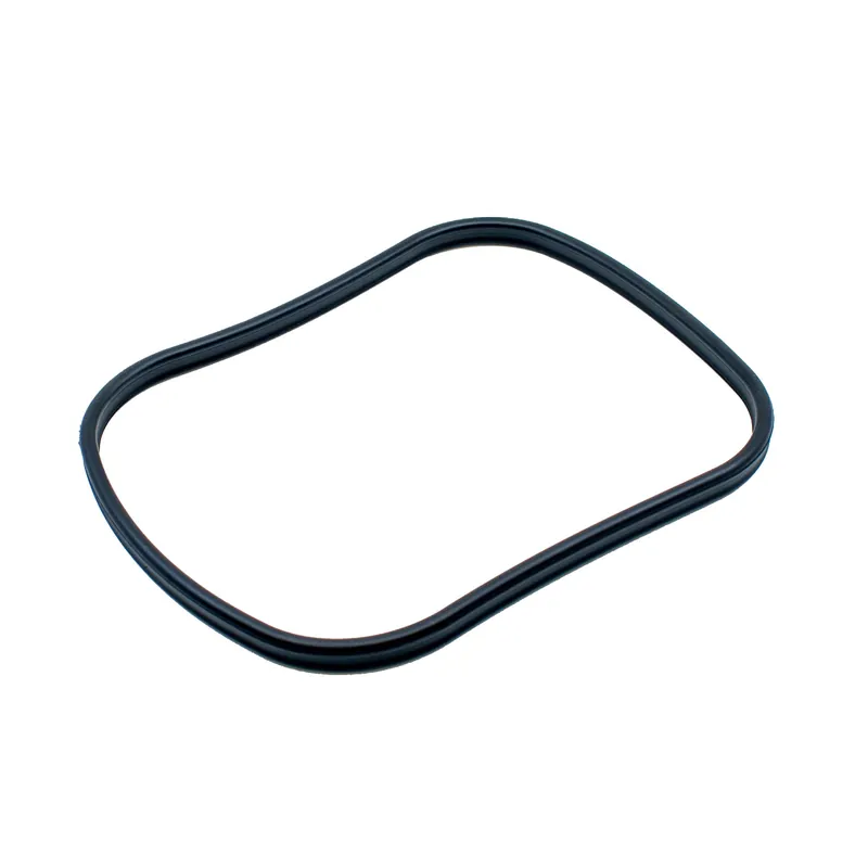 Main Gasket for BioMaster & BioMaster Thermo - OASE Indoor Aquatics