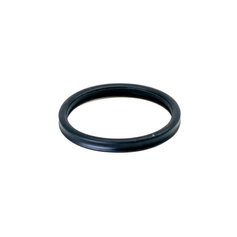 Pre-filter Gasket for BioMaster & BioMaster Thermo