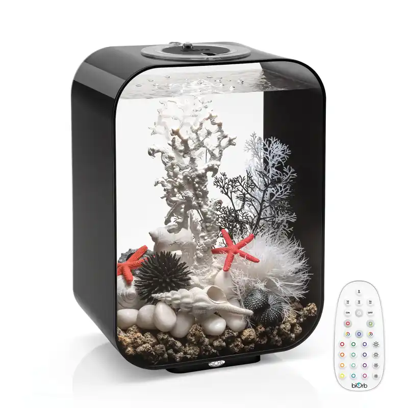 LIFE 15 Aquarium with MCR Light - 4 gallon
