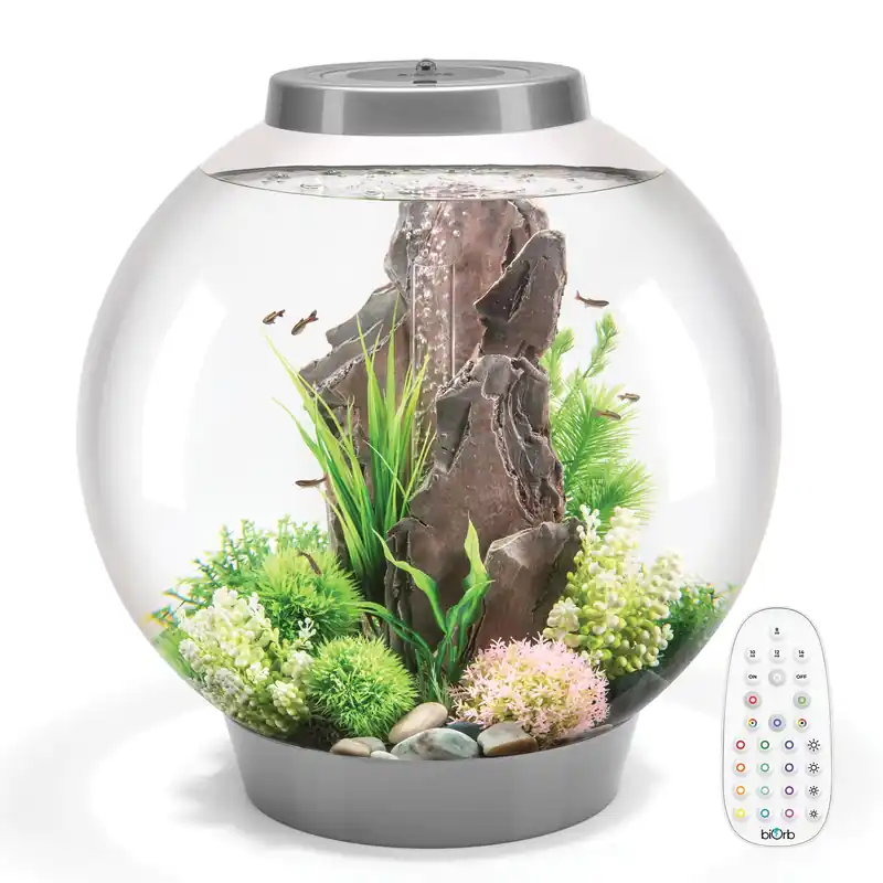 CLASSIC 60 Aquarium with MCR Light - 16 gallon