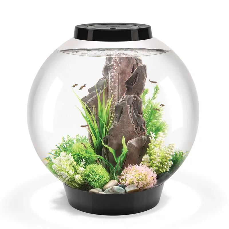 CLASSIC 60 Aquarium with Standard Light - 16 gallon