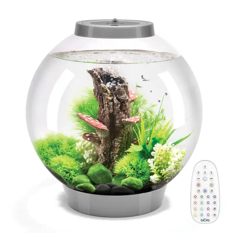 CLASSIC 30 Aquarium with MCR Light - 8 gallon